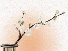 生辰八字看什么時候換工作 八字看什么時候升職