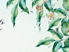 屬龍與虎合作生意好不好,屬龍跟屬虎做生意好嗎