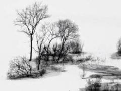 1953屬蛇今年多大年紀 1952屬蛇的今年多大