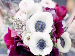 十二星座男來電的星座女