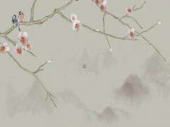 2023年屬兔怎樣讓自己的運氣好,2023年屬兔怎樣讓自己的運氣好起來