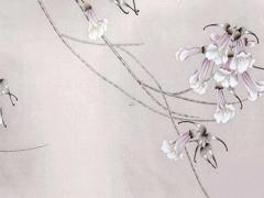 本命年兔穿什么好2023年