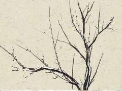 此八字的格局和用神是什么 何為八字用神?