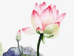 什么八字和自己小的合得來 什么樣的八字和子女關(guān)系好