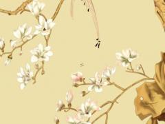 屬豬幸運數字1971年 1971年屬豬的幸運色和數字