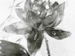 2023年哪些屬相犯太歲?應該怎么辦?,2023年哪些生肖犯太歲害太歲沖太歲