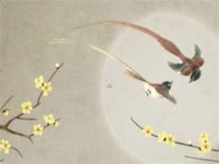 最向往草原和野馬的四大星座