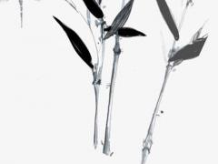 屬豬的與什么屬相的婚姻般配 屬豬的和屬豬的婚姻相配嗎