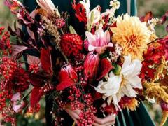 雙商奇高的星座