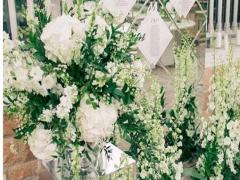 哪個星座顏值最高