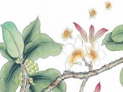 97年屬鼠在2023年有姻緣嗎,97年屬鼠