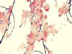 中年看八字什么柱 八字的中年是多少歲到多少歲