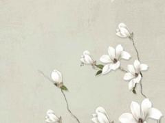 寶寶八字硬要過房會影響什么嗎 寶寶生辰八字硬什么意思