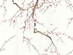 生辰八字中的時辰主什么 八字里時辰