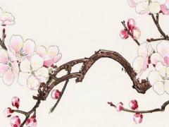 怎么知道八字是什么 怎么知道八字是什么命