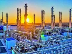 夢見矮灌木叢是什么意思