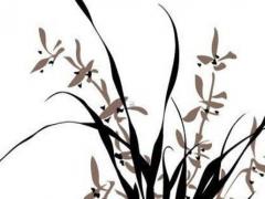 什么樣的八字容易得婦科病 女命易得婦科病的八字