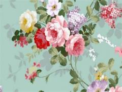 2000年屬龍的命運