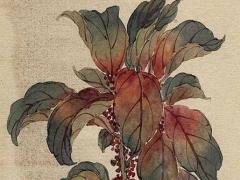 女孩八字男孩命什么意思 女孩男命格好嗎