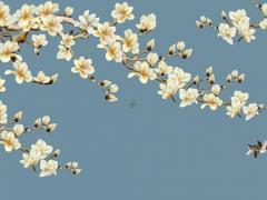 八字缺金缺水的男孩起什么名字有哪些 缺金水的男孩名字大全集