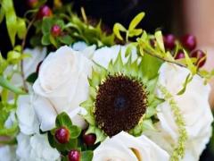 牛郎星是星座嗎