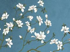 屬龍和屬蛇能婚配嗎,屬龍和屬蛇般配嗎