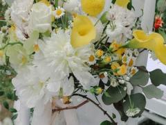 巨蟹女的克星會是誰？