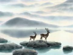 屬龍男和屬蛇女的婚姻相配嗎,屬龍男和屬蛇女在一起合適嗎