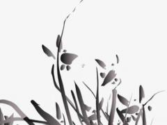 八字命格是指什么 八字命格是什么意思