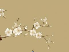 屬豬女配屬馬男肖可以嗎