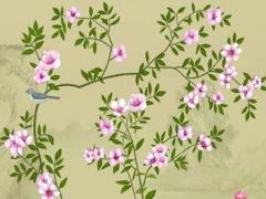 金牛座男生性格陶白白 金牛座男生性格扣嗎