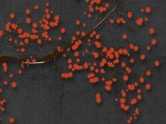 96屬鼠男最佳婚配,96屬鼠男婚配搞哪方向