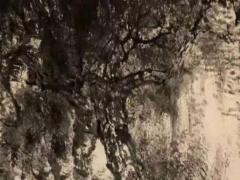 四柱八字中什么是四大空亡 命理四大空亡