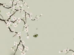 生辰八字喜用神為木什么性格 喜用神為木是什么命