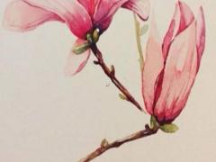 微信好聽兩個字的名字