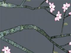 八字喜水名字忌什么 生辰八字喜水的名字