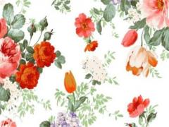 2023年屬兔五行缺火嗎怎么辦,2023年屬兔五行缺火嗎怎么辦呀