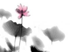 屬虎多大了,1999屬虎多大了