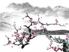 80年猴女在2023年全年運(yùn)程,80年女猴2023年運(yùn)勢完整版