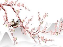 2023年屬豬佩戴三合手鏈,屬豬的2023年戴什么