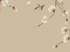 新手自學八字看什么書 自學八字看什么書好