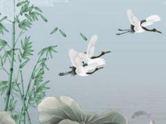 八字算命排不出是什么意思 八字算命不好怎么辦