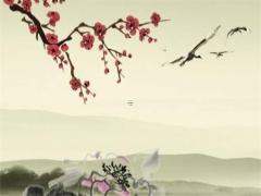 87年6月屬兔女一生婚姻 87年女兔的婚姻