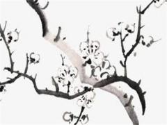 八字里缺木女寶合適什么字 八字缺木女孩名