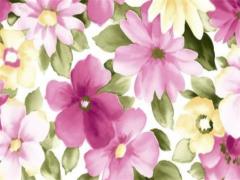 2023屬猴人全年運勢女