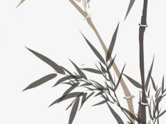 思字輩的好聽男孩名字