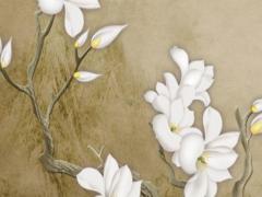 2023年好的生肖,2023年什么生肖最旺