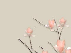 八字組合怎么看 如何看八字組合