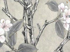 屬蛇2023婚姻化解,屬蛇在2023年怎么樣