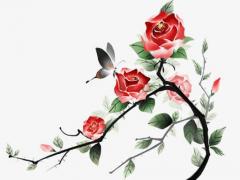 2023本命年能結婚嗎,2023年本命年禁忌